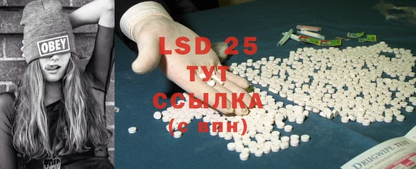 ECSTASY Белокуриха
