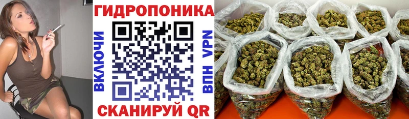 Марихуана THC 21%  Баксан 